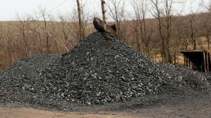 В Луганской области мужчина незаконно добыл 30 тонн угля