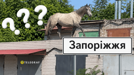 Лошадь на крыше