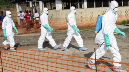Страны Запада опасаются эпидемии лихорадки Эбола