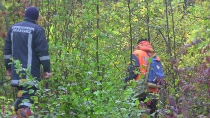 В Черновицкой области сутки искали четырех людей, заблудившихся в лесу