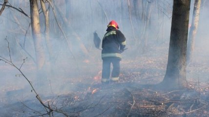 В  Зоне отчуждения и в Житомирской области продолжают тушить очаги пожаров