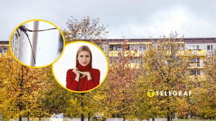 Осенью насекомые ищут зимовку в наших домах