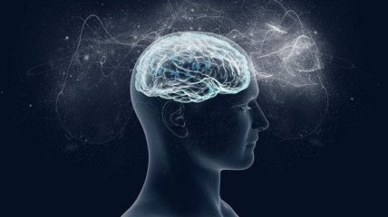 Ученые разгадали тайну мозга