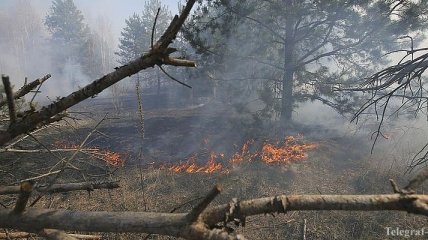 Пожары в Чернобыльской зоне: в Беларуси замерили радиационный фон