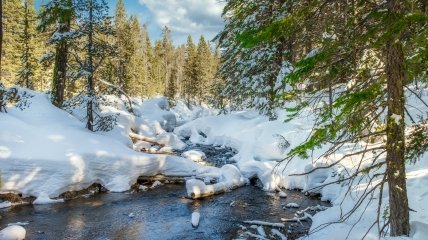 Какой сегодня праздник - День святого Прокопия Декаполита