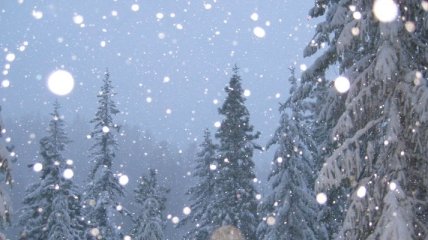 Завтра Украину накроет снег