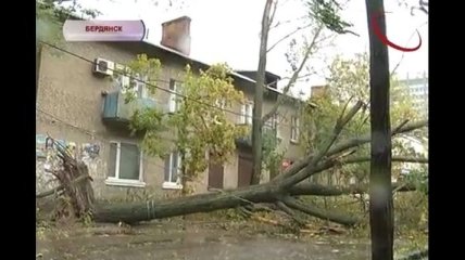 Буря в Бердянске: ветром повалены деревья, оборваны провода (Видео)