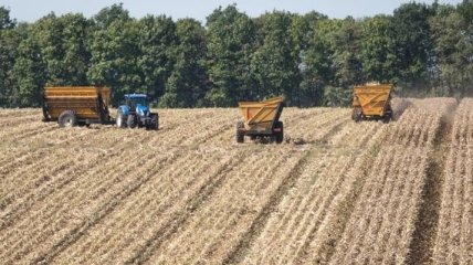 Евросоюз ввел пошлину на ввоз украинской кукурузы