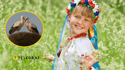 Маленька українка та лелеки