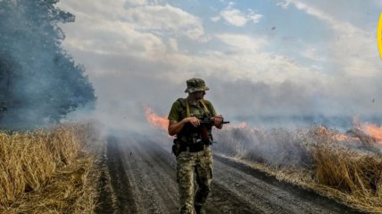 Пожар на поле