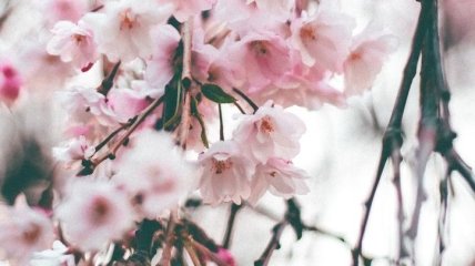 Какой праздник 30 марта: народные приметы и запреты