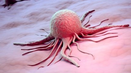 Биологи обнаружили заразные раковые опухоли 