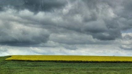 Погода в Украине 25 апреля: по всей территории страны буду дожди