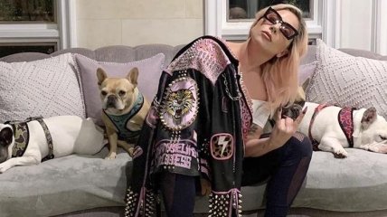 Леді Гага самоізолювалася вдома з собаками (Фото)
