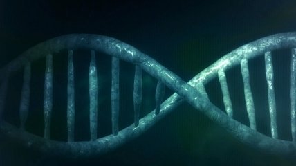 All of Us: В США стартует масштабный проект по расшифровке человеческого ДНК
