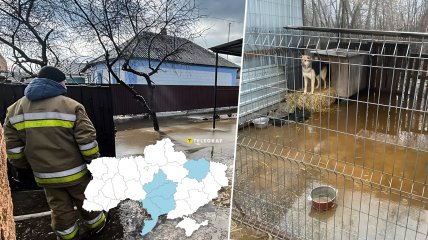 Затопленные домохозяйства