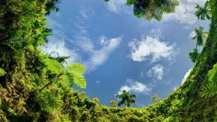 Завораживающая красота: природный бассейн То Суа (Фото)