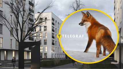 ЖК "Квадрат" в Ужгороде, лиса