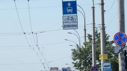 В Киеве начинают обустройство велодорожек в полосе общественного транспорта