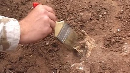 Археологи нашли в Китае инструменты из кости возрастом 115 000 лет  