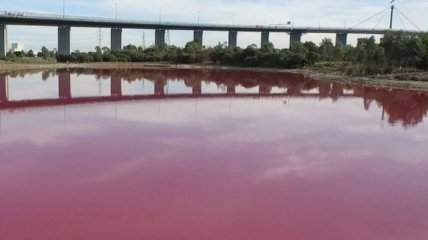 В Австралии озеро стало розового цвета
