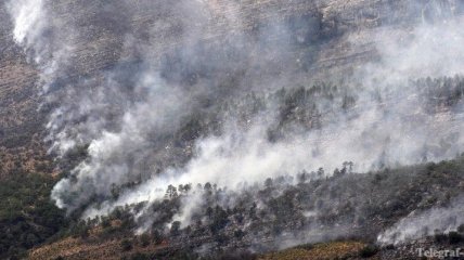  Сильный пожар бушует в Балканских горах Болгарии