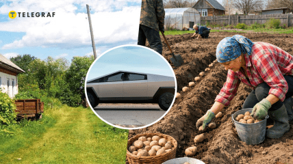 Авто та сезон картоплі в селі