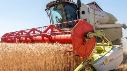 Украина нарастила экспорт пшеницы в Индонезию и на Филиппины