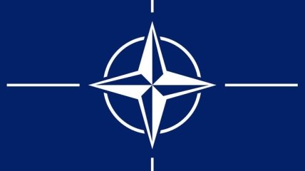 Сенатор: НАТО становится политическим, а не военным союзом