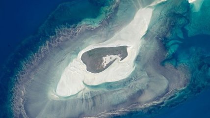 Астронавты сфотографировали остров крыс  