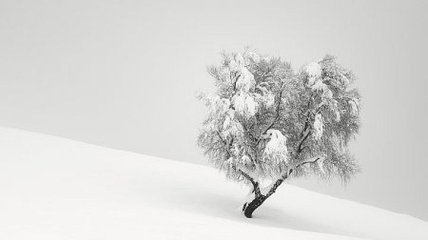Лаконичные черно-белые пейзажи швейцарского фотографа Пьера Пеллегрини (Фото)