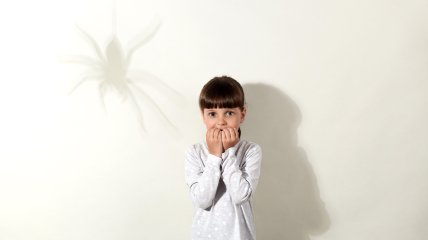 Забудьте про страх перед павуками