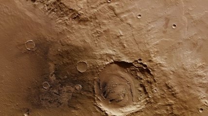 На Марсе есть живые организмы?