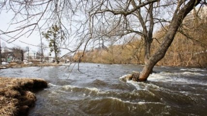 Максимальный уровень воды в реках ожидается в конце апреля