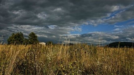 Прогноз погоды в Украине на 18 ноября: ожидается облачная погода, местами дождь