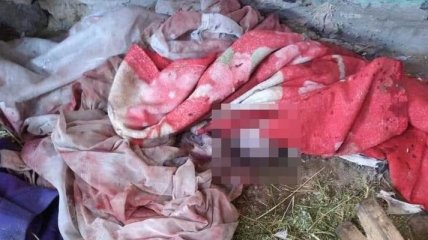 Во дворе многодетной матери на Житомирщине полицейские обнаружили мертвое новорожденное дитя 