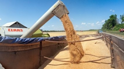 Минагропрод сообщает о количестве экспортированного зерна