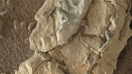 NASA отреагировало на слова видного ученого о следах инопланетян на Марсе