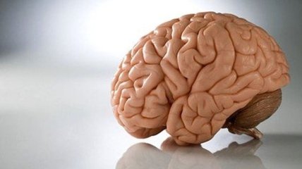Ученые рассказали, как замедлить старение мозга
