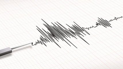 На севере Киргизии произошло землетрясение