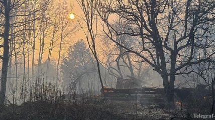 В Чернобыльской зоне горят торфяники