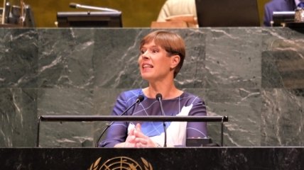 Эстония в ООН предложила упорядочить международное право в цифровой сфере