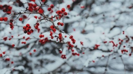 Какой праздник 26 ноября: народные приметы и запреты