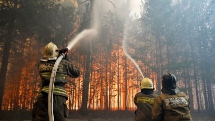 Лісові пожежі у росії