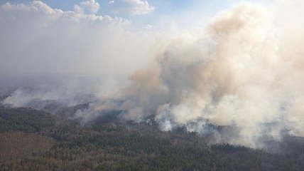 "Не поджигайте траву": с начала года уже возникло около 23 тысяч пожаров