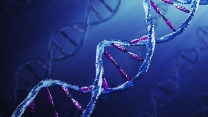 Ученые нашли способ лечить рак с помощью изменения  ДНК 