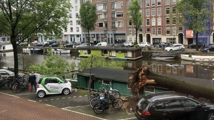 Сильный ветер, вырвав деревья, прокатился ночью Амстердамом