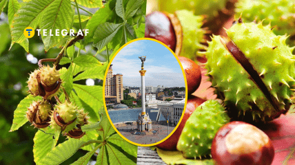 Визуальный символ столицы Украины