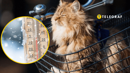 В Киеве ожидается кратковременное потепление