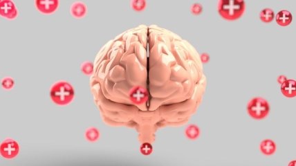 Ученые обнаружили в мозге рецептор, который отвечает за плохое настроение
